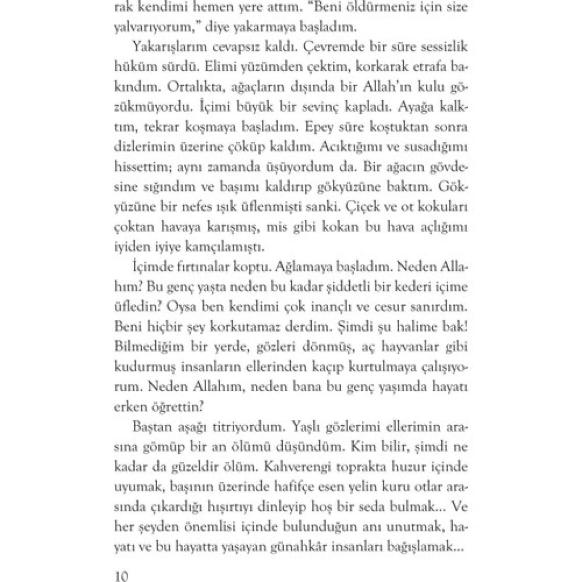 İncir Kuşları - Sinan Akyüz - Sinan Akyüz