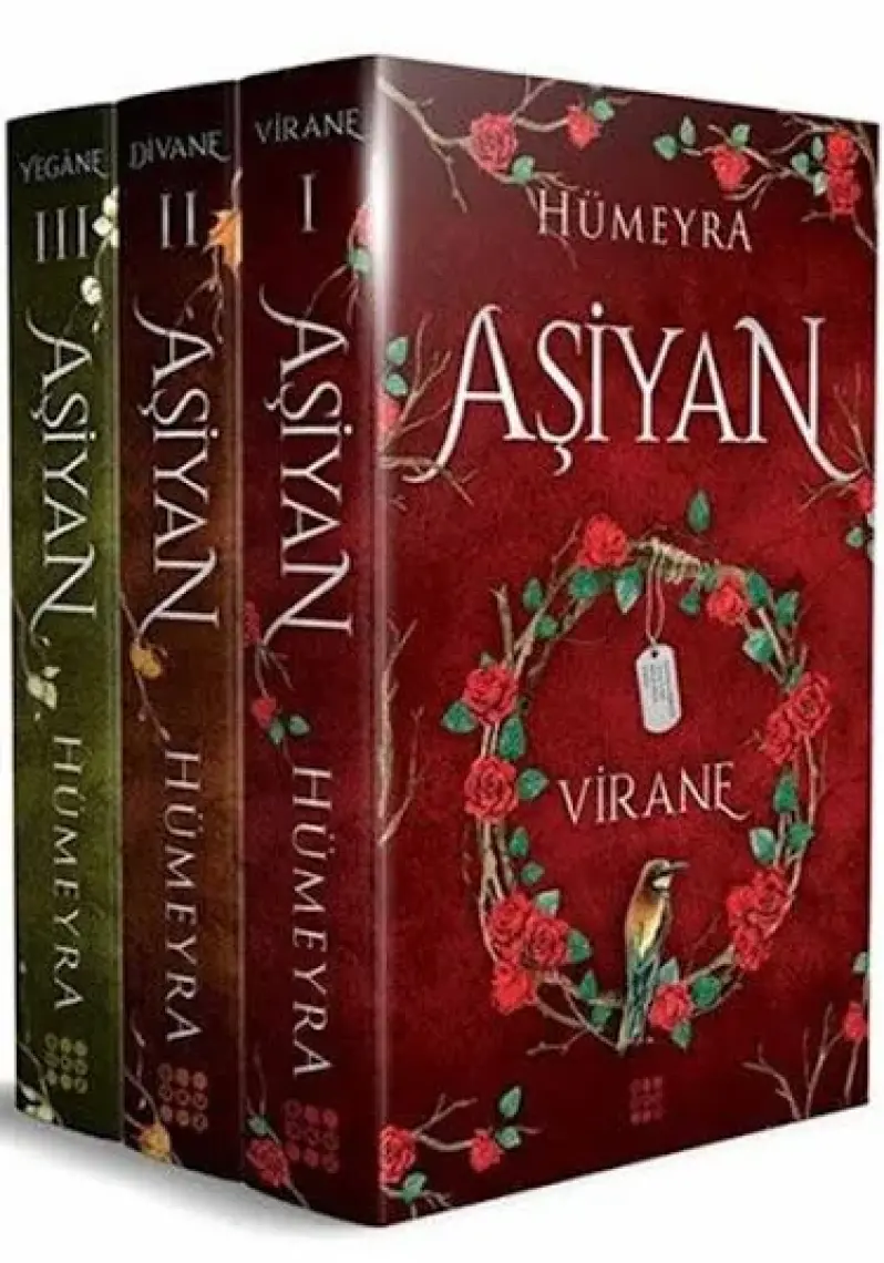 Aşiyan Serisi Virane - Divane – Yegane 3 Kitap Set - Hümeyra