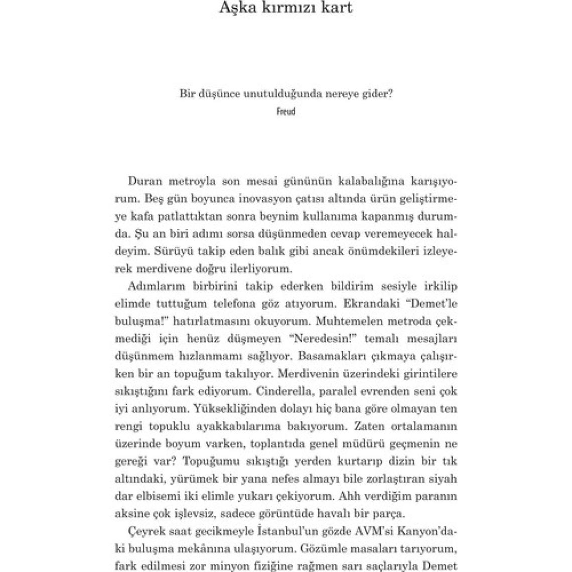 Daha Adını Koyamadık - Şevin Ballıktaş