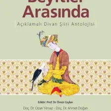 Beyitler Arasında Açıklamalı Divan Şiiri Antolojisi