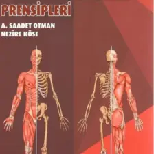 Tedavi Hareketlerinde Temel Değerlendirme Prensipleri