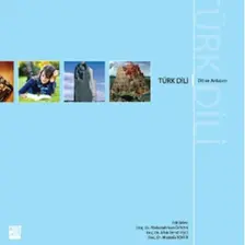 Türk Dili