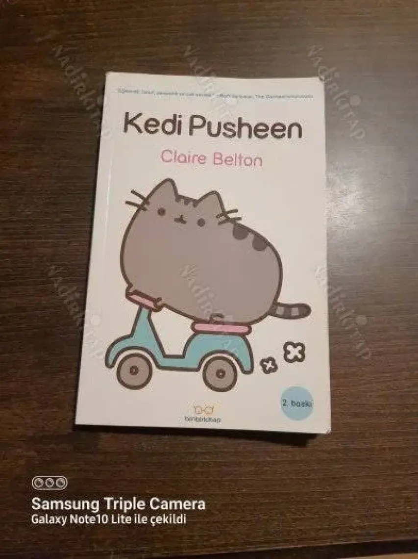 Kedi Pusheen