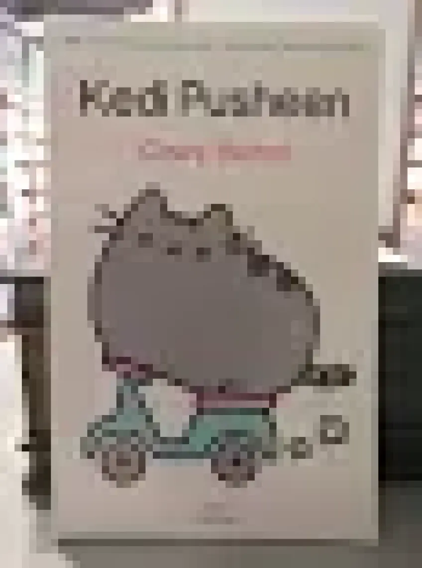 Kedi Pusheen