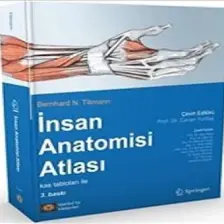 Insan Anatomisi Atlası Tillman