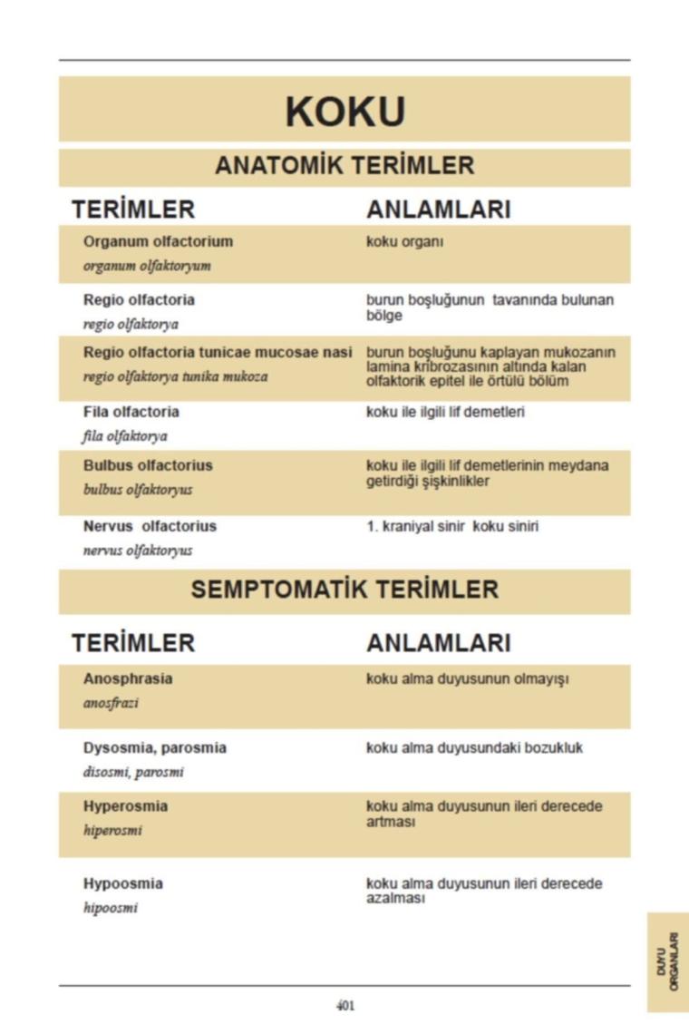 Sağlık Dili - L. Bikem Süzen