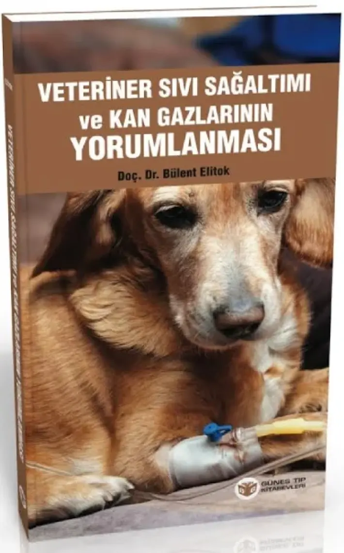 Veteriner Sıvı Sağaltımı ve Kan Gazlarının Yorumlanması