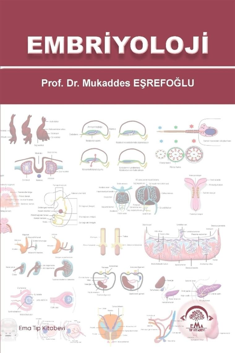 Embriyoloji - Mukaddes Eşrefoğlu