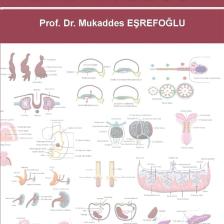 Embriyoloji - Mukaddes Eşrefoğlu