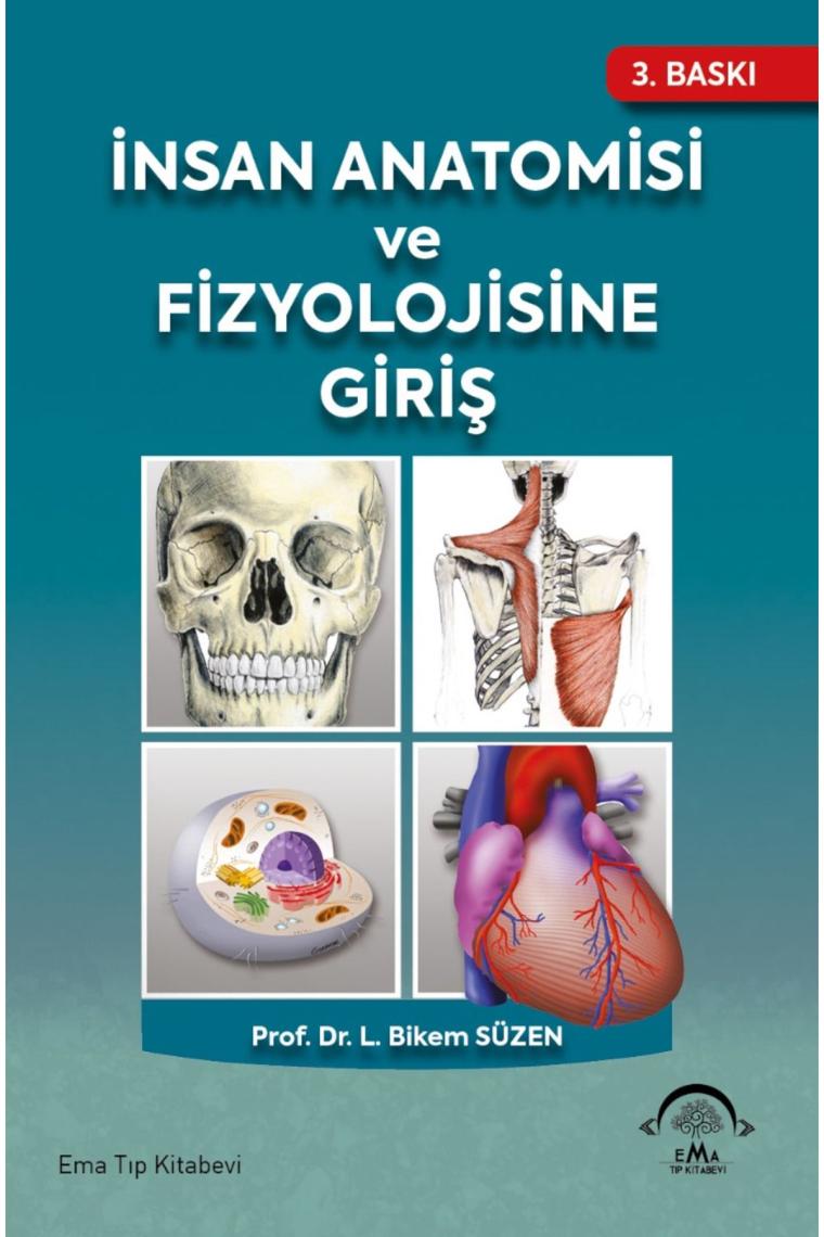 İnsan Anatomisi ve Fizyolojisine Giriş - L. Bikem Süzen