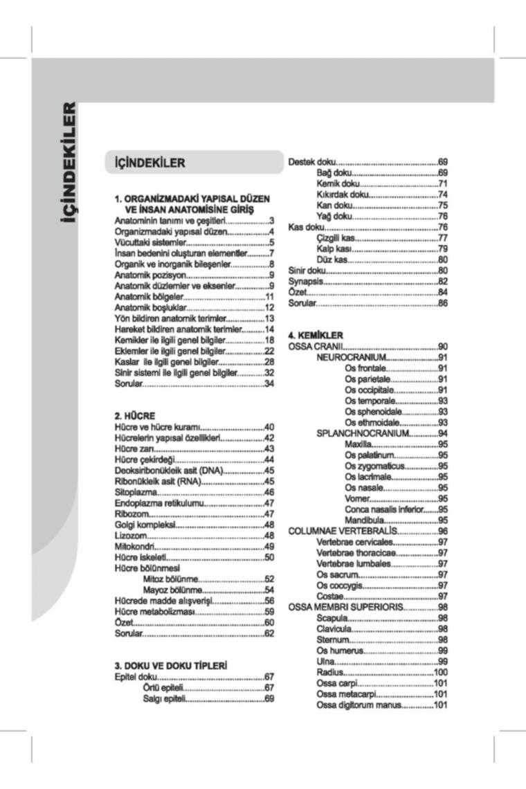 İnsan Anatomisi ve Fizyolojisine Giriş - L. Bikem Süzen