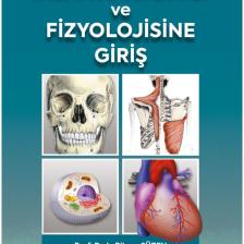 İnsan Anatomisi ve Fizyolojisine Giriş - L. Bikem Süzen