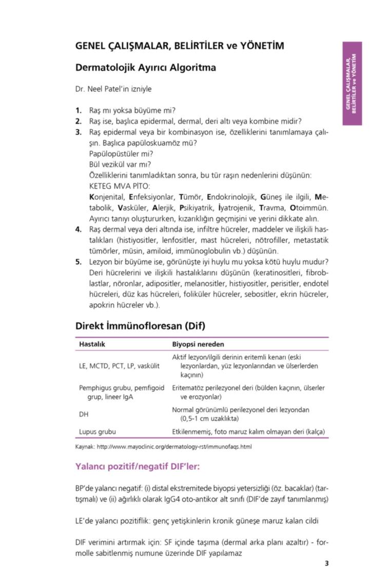 Dermatoloji El Kitabı: Pratik Bir Kılavuz - Ahmet Metin