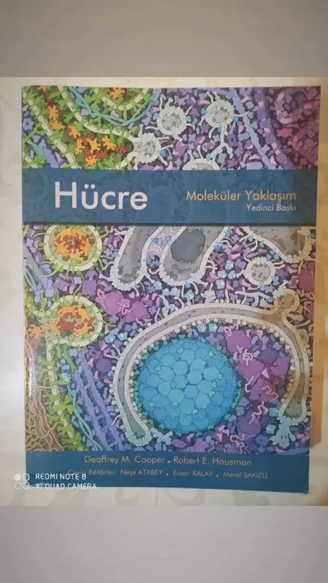 Hücre Moleküler Yaklaşım