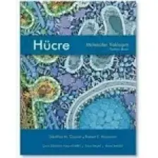 Hücre Moleküler Yaklaşım