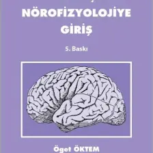 Davranışsal Nörofizyolojiye Giriş