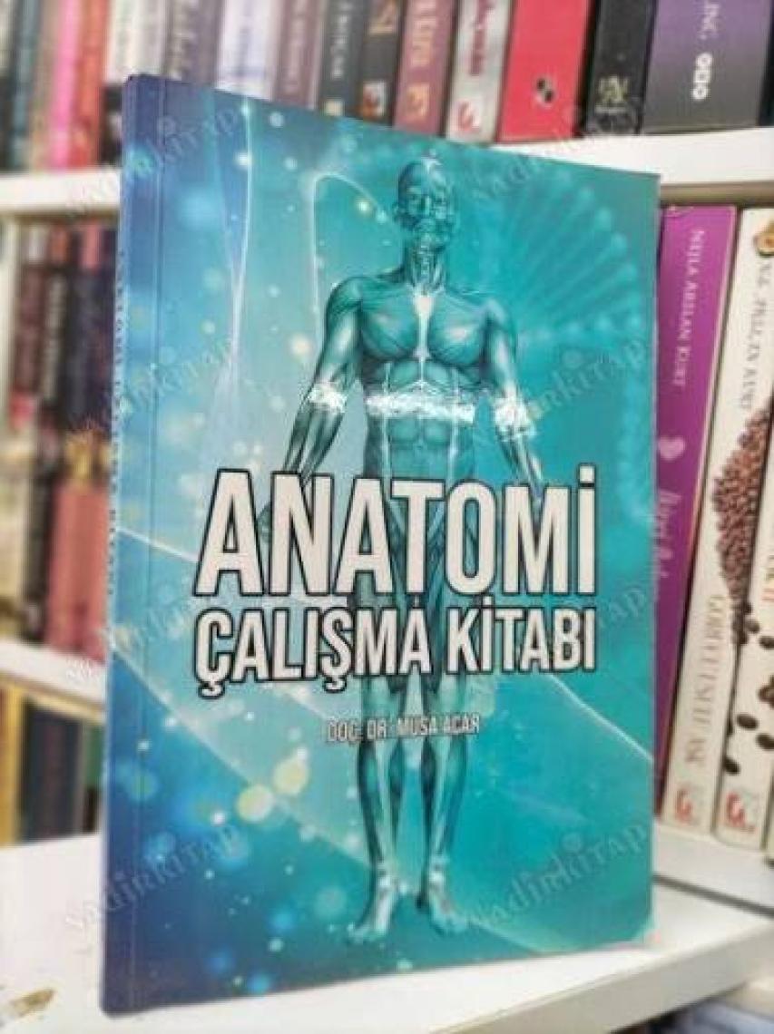 Anatomi Çalışma Kitabı - Musa Acar