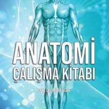 Anatomi Çalışma Kitabı - Musa Acar