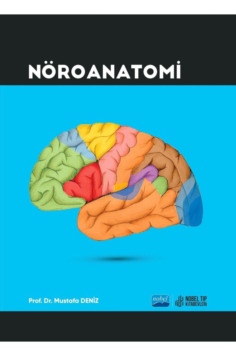 Nöroanatomi