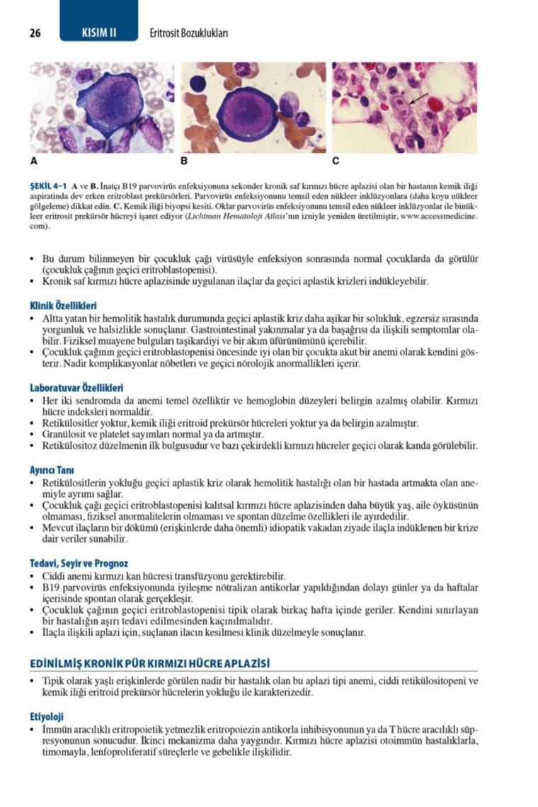 Williams Hematoloji El Kitabı - Mehmet Ali Özcan