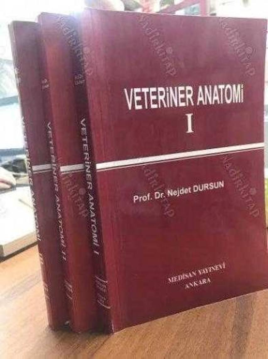 VETKA - Veteriner Klinik Anatomi - Yasin Demiraslan
