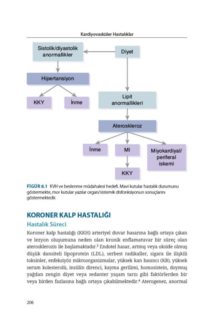 Ema Tıp Kitabevi Klinik Beslenme Için Temel Cep Kitabı