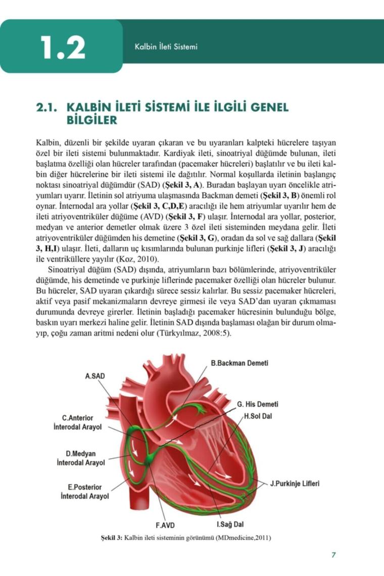 Hastane Öncesi Acil Bakımda Ekg ve Ileri Yaşam Desteği Uygulamaları - Ali Ekşi