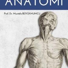Resimli Sistematik Anatomi - Mustafa Büyükmumcu