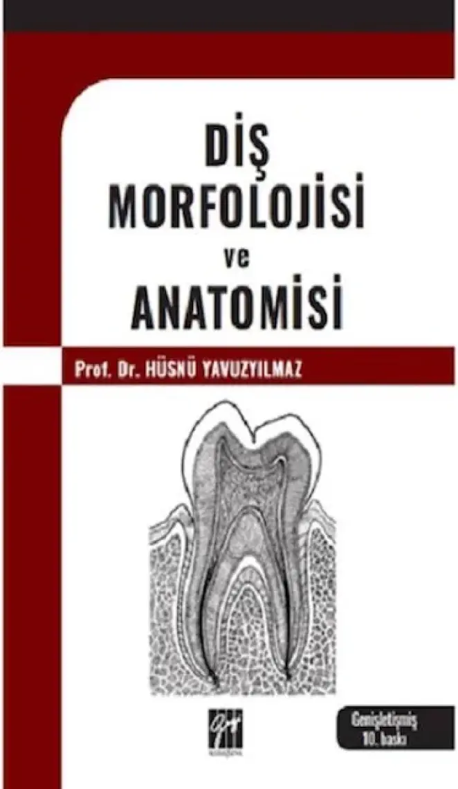 Diş Morfolojisi ve Anatomisi - Hüsnü Yavuz Yılmaz