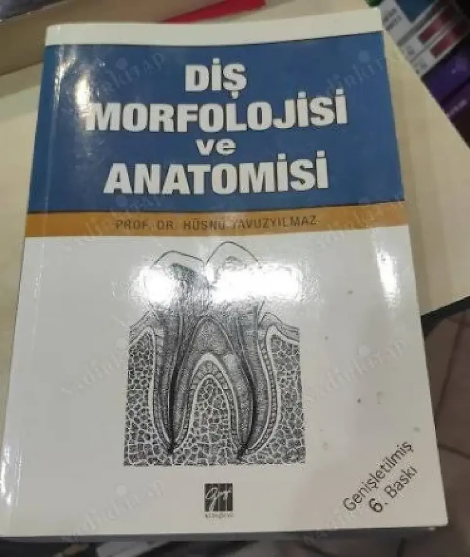 Diş Morfolojisi ve Anatomisi - Hüsnü Yavuz Yılmaz