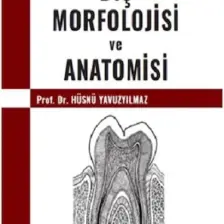 Diş Morfolojisi ve Anatomisi - Hüsnü Yavuz Yılmaz