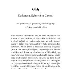 Kaygının Karşı Yakası - Lawrence J. Cohen