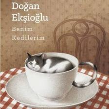 Benim Kedilerim - Gürbüz Doğan Ekşioğlu
