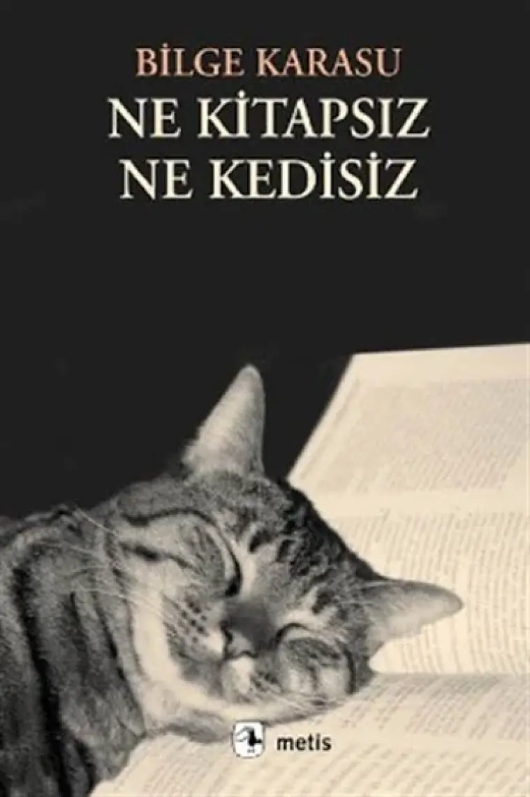 Ne Kitapsız Ne Kedisiz - Bilge Karasu