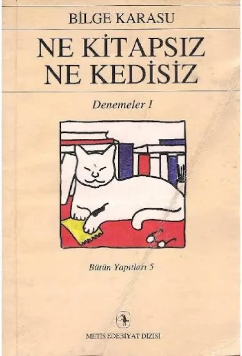 Ne Kitapsız Ne Kedisiz - Bilge Karasu