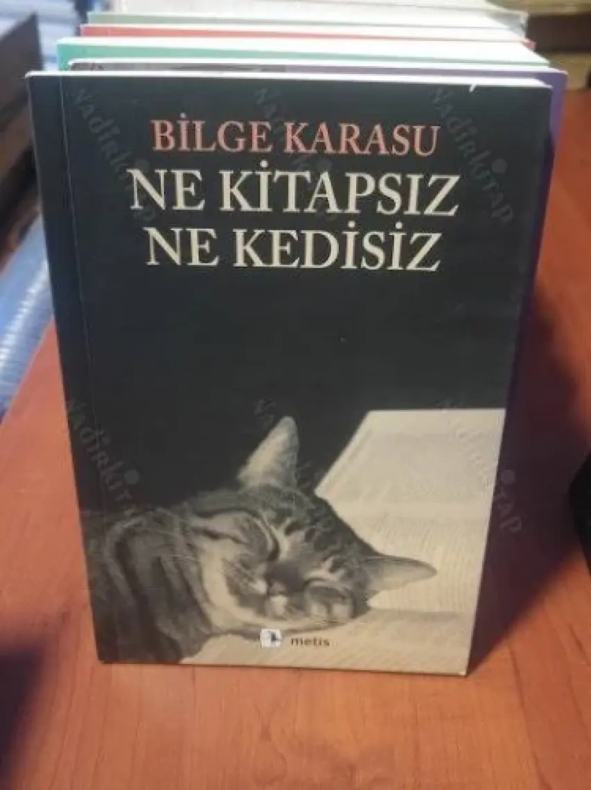 Ne Kitapsız Ne Kedisiz - Bilge Karasu