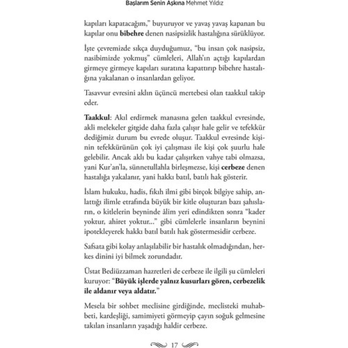 Başlarım Senin Aşkına - Mehmet Yıldız