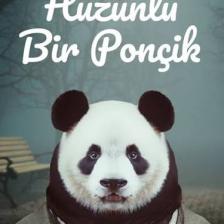 Hüzünlü Bir Ponçik - Çağrı Taner