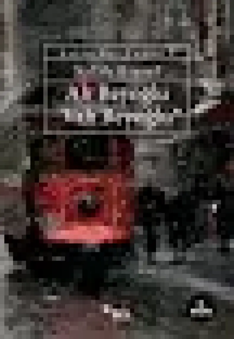 Ah Beyoğlu Vah Beyoğlu: Salâh Bey Tarihi: 2 - Salâh Birsel