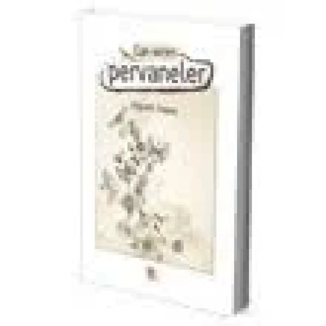 Can Veren Pervaneler - Hayati İnanç