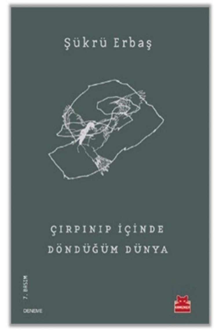 Çırpınıp Içinde Döndüğüm Dünya