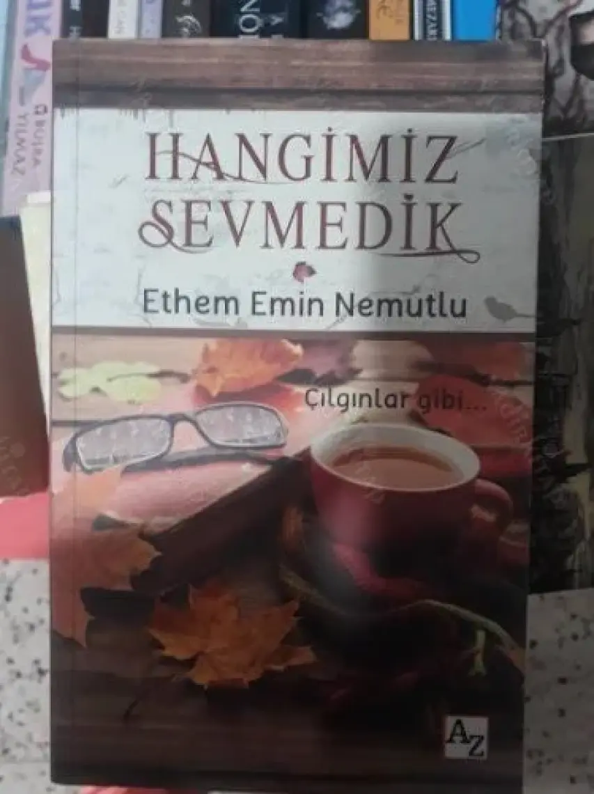 Hangimiz Sevmedik - Ethem Emin Nemutlu