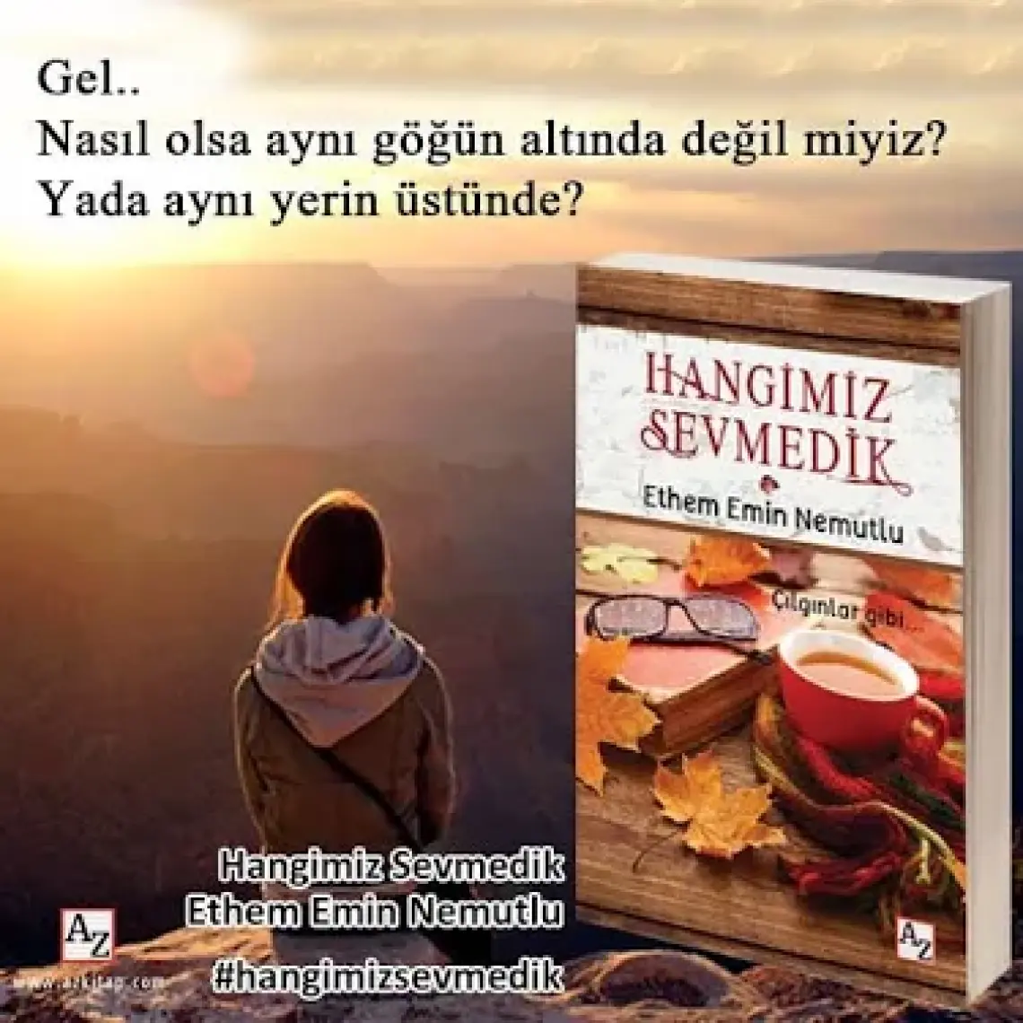 Hangimiz Sevmedik - Ethem Emin Nemutlu