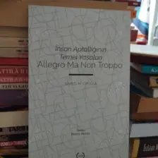 Insan Aptallığının Temel Yasaları