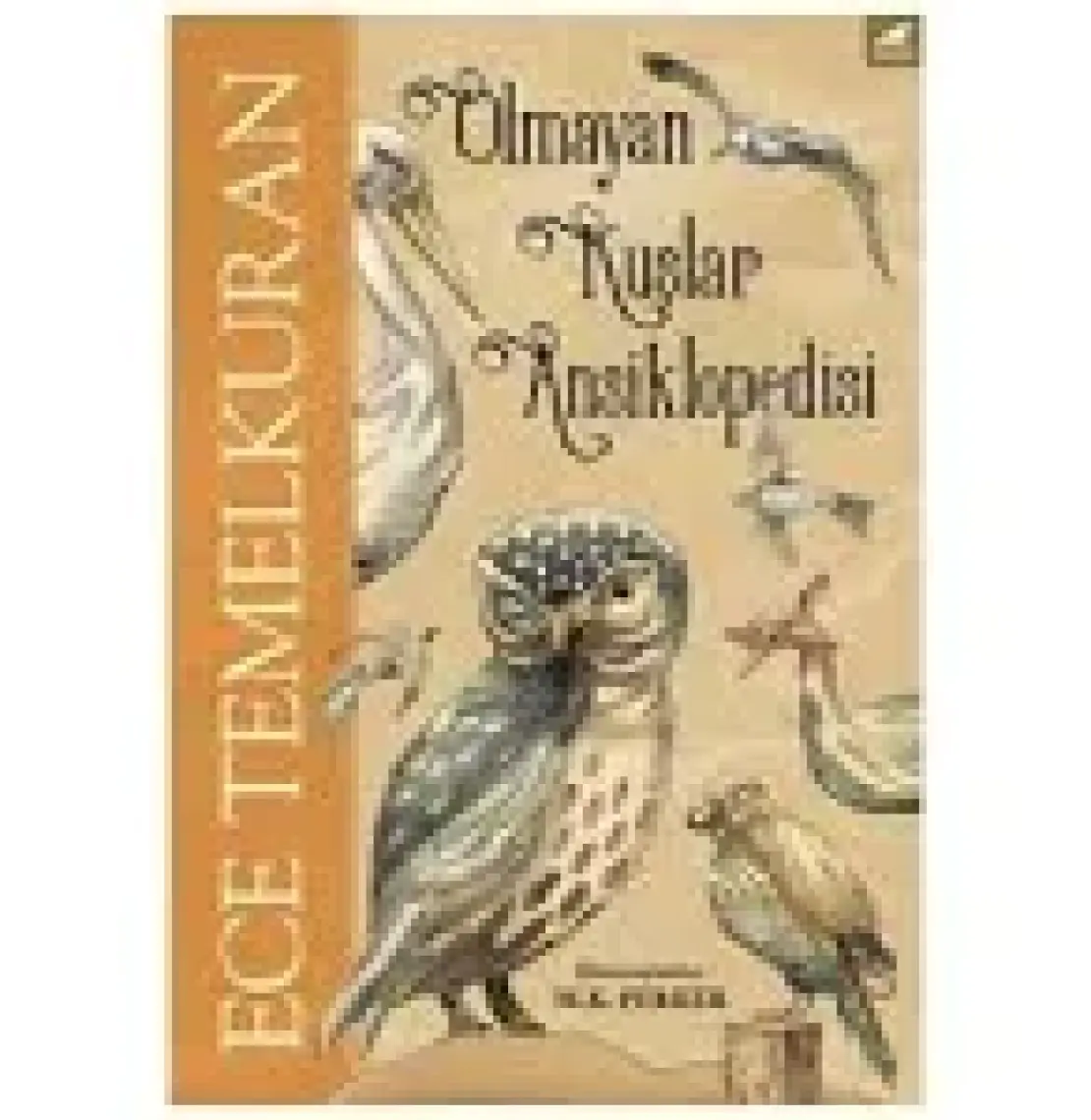 Olmayan Kuşlar Ansiklopedisi - Ece Temelkuran