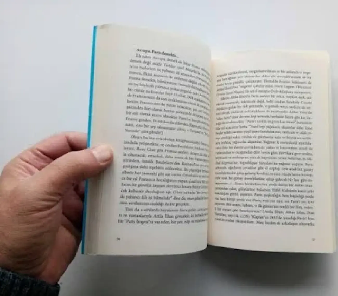 Çerçöp - Haydar Ergülen