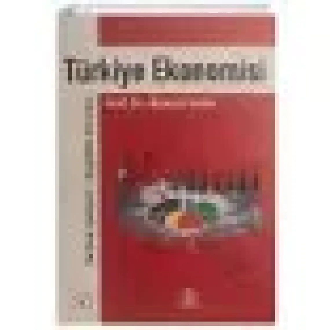 Türkiye Ekonomisi