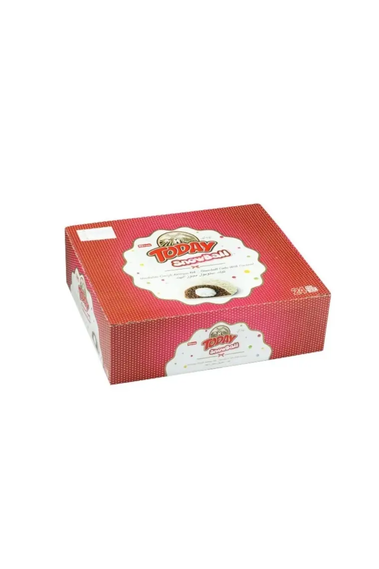 Elvan Today Snowball Hindistan Cevizli Kakaolu Kek - 45 gr x 24 Adet, Süt Kremalı Yumuşak Kek, Özel Günler İçin İkramlıklar