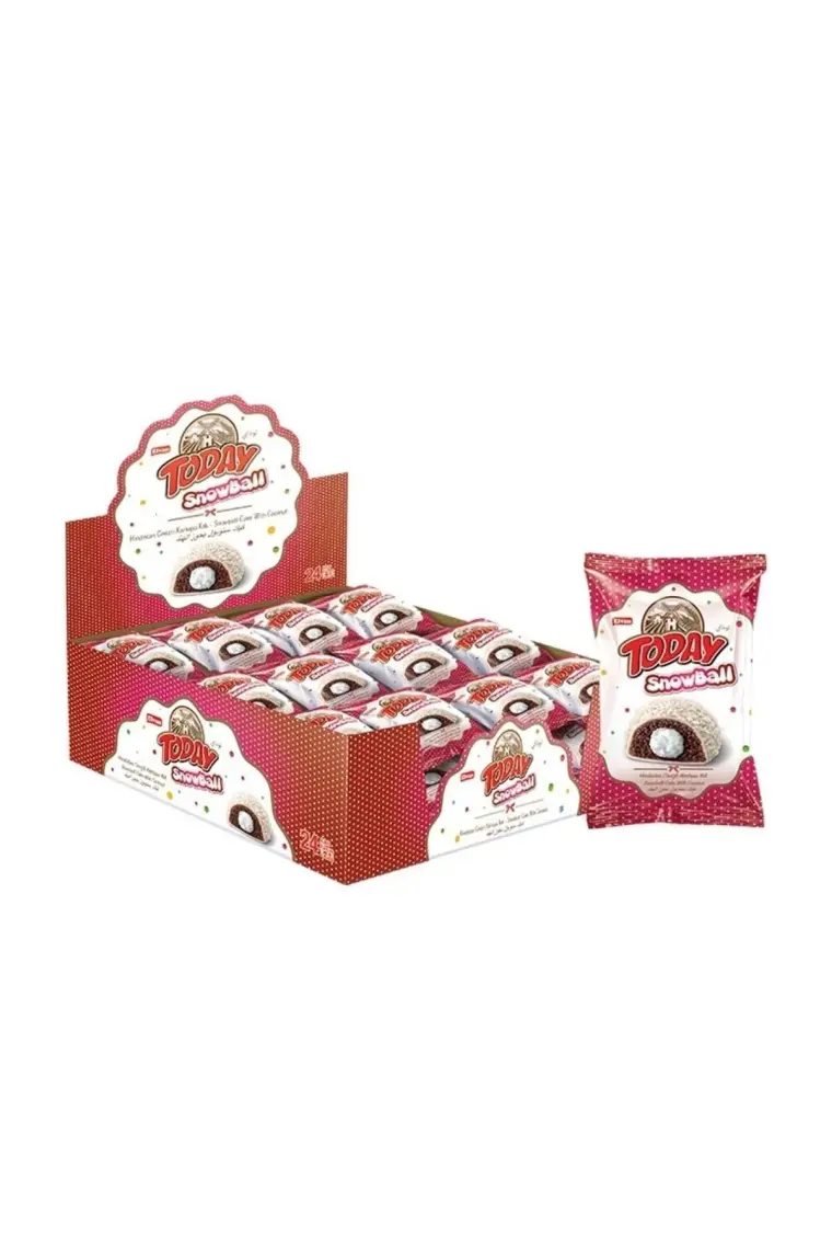 Elvan Today Snowball Hindistan Cevizli Kakaolu Kek - 45 gr x 24 Adet, Süt Kremalı Yumuşak Kek, Özel Günler İçin İkramlıklar