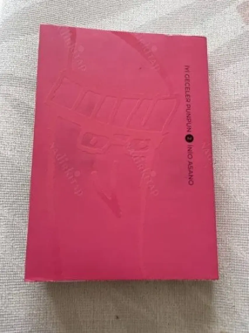 Iyi Geceler Punpun 2